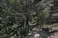 Le chemin du Valadou D_colour